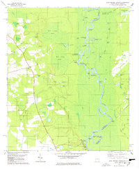 Blue Springs Landing Georgia Historical topographic map, 1:24000 scale, 7.5 X 7.5 Minute, Year 1978