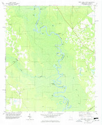 Brier Creek Landing Georgia Historical topographic map, 1:24000 scale, 7.5 X 7.5 Minute, Year 1978