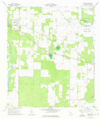 Brinson Georgia Historical topographic map, 1:24000 scale, 7.5 X 7.5 Minute, Year 1974