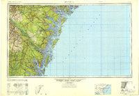 Brunswick Georgia Historical topographic map, 1:250000 scale, 1 X 2 Degree, Year 1946