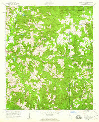 Buena Vista NW Georgia Historical topographic map, 1:24000 scale, 7.5 X 7.5 Minute, Year 1955
