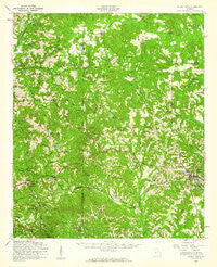 Buena Vista Georgia Historical topographic map, 1:62500 scale, 15 X 15 Minute, Year 1955