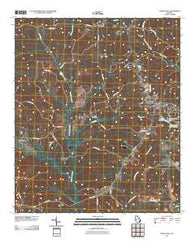 Buena Vista Georgia Historical topographic map, 1:24000 scale, 7.5 X 7.5 Minute, Year 2011