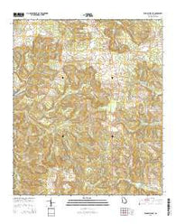 Buena Vista NE Georgia Current topographic map, 1:24000 scale, 7.5 X 7.5 Minute, Year 2014
