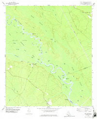 Bug Island Georgia Historical topographic map, 1:24000 scale, 7.5 X 7.5 Minute, Year 1978