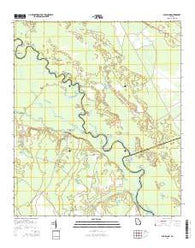 Bug Island Georgia Current topographic map, 1:24000 scale, 7.5 X 7.5 Minute, Year 2014