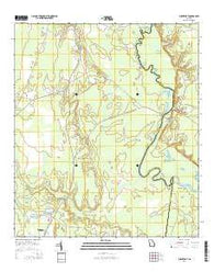 Burnt Fort Georgia Current topographic map, 1:24000 scale, 7.5 X 7.5 Minute, Year 2014