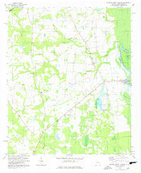 Burtons Ferry Landing Georgia Historical topographic map, 1:24000 scale, 7.5 X 7.5 Minute, Year 1978