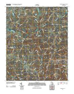 Carnesville Georgia Historical topographic map, 1:24000 scale, 7.5 X 7.5 Minute, Year 2011
