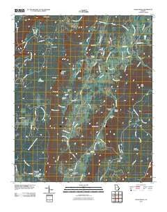 Cedar Grove Georgia Historical topographic map, 1:24000 scale, 7.5 X 7.5 Minute, Year 2011