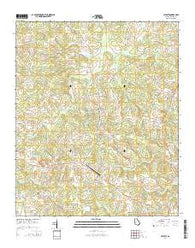 Celeste Georgia Current topographic map, 1:24000 scale, 7.5 X 7.5 Minute, Year 2014