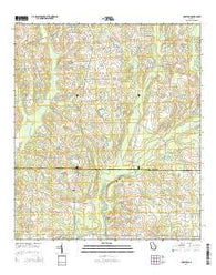 Chastain Georgia Current topographic map, 1:24000 scale, 7.5 X 7.5 Minute, Year 2014
