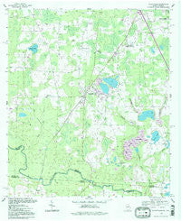 Clyattville Georgia Historical topographic map, 1:24000 scale, 7.5 X 7.5 Minute, Year 1994