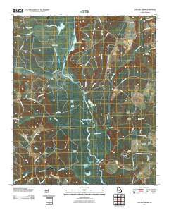 Cow Hell Swamp Georgia Historical topographic map, 1:24000 scale, 7.5 X 7.5 Minute, Year 2011