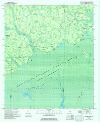 Cravens Island Georgia Historical topographic map, 1:24000 scale, 7.5 X 7.5 Minute, Year 1994