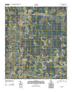 Damascus Georgia Historical topographic map, 1:24000 scale, 7.5 X 7.5 Minute, Year 2011