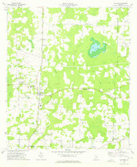 Damascus Georgia Historical topographic map, 1:24000 scale, 7.5 X 7.5 Minute, Year 1974