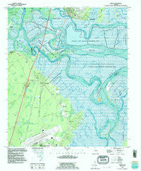 Darien Georgia Historical topographic map, 1:24000 scale, 7.5 X 7.5 Minute, Year 1993