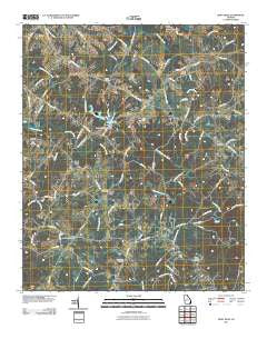 Dewy Rose Georgia Historical topographic map, 1:24000 scale, 7.5 X 7.5 Minute, Year 2011