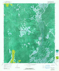 Dinner Pond Georgia Historical topographic map, 1:24000 scale, 7.5 X 7.5 Minute, Year 1965