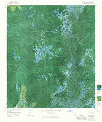 Dinner Pond Georgia Historical topographic map, 1:24000 scale, 7.5 X 7.5 Minute, Year 1965