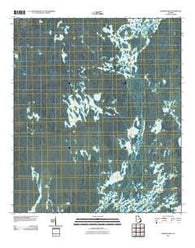 Dinner Pond Georgia Historical topographic map, 1:24000 scale, 7.5 X 7.5 Minute, Year 2011