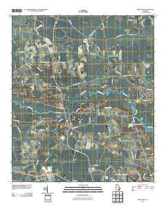 Dixie Union Georgia Historical topographic map, 1:24000 scale, 7.5 X 7.5 Minute, Year 2011