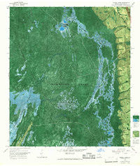 Double Lakes Georgia Historical topographic map, 1:24000 scale, 7.5 X 7.5 Minute, Year 1965