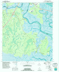 Dover Bluff Georgia Historical topographic map, 1:24000 scale, 7.5 X 7.5 Minute, Year 1993