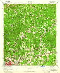 Ellerslie Georgia Historical topographic map, 1:62500 scale, 15 X 15 Minute, Year 1955