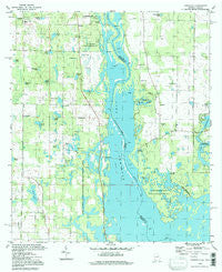 Fairchild Georgia Historical topographic map, 1:24000 scale, 7.5 X 7.5 Minute, Year 1994