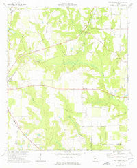 Fort Valley East Georgia Historical topographic map, 1:24000 scale, 7.5 X 7.5 Minute, Year 1974