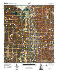 Fort Gaines Georgia Historical topographic map, 1:24000 scale, 7.5 X 7.5 Minute, Year 2011