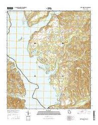 Fort Gaines NE Georgia Current topographic map, 1:24000 scale, 7.5 X 7.5 Minute, Year 2014