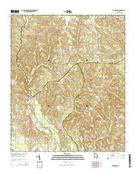 Friendship Georgia Current topographic map, 1:24000 scale, 7.5 X 7.5 Minute, Year 2014