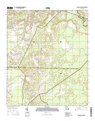 Glissons Millpond Georgia Current topographic map, 1:24000 scale, 7.5 X 7.5 Minute, Year 2014