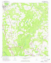Hahira East Georgia Historical topographic map, 1:24000 scale, 7.5 X 7.5 Minute, Year 1961