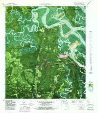 Harrietts Bluff Georgia Historical topographic map, 1:24000 scale, 7.5 X 7.5 Minute, Year 1980