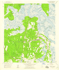Harrietts Bluff Georgia Historical topographic map, 1:24000 scale, 7.5 X 7.5 Minute, Year 1958