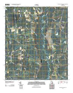 Hastings Fish Pond Georgia Historical topographic map, 1:24000 scale, 7.5 X 7.5 Minute, Year 2011