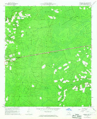Hoboken East Georgia Historical topographic map, 1:24000 scale, 7.5 X 7.5 Minute, Year 1966