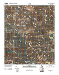 Ideal North Georgia Historical topographic map, 1:24000 scale, 7.5 X 7.5 Minute, Year 2011