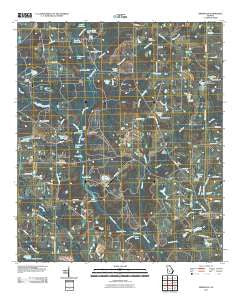 Irwinville Georgia Historical topographic map, 1:24000 scale, 7.5 X 7.5 Minute, Year 2011