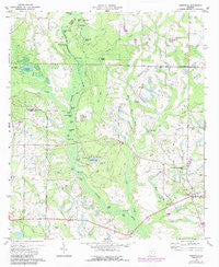 Irwinville Georgia Historical topographic map, 1:24000 scale, 7.5 X 7.5 Minute, Year 1973