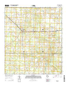 Leslie Georgia Current topographic map, 1:24000 scale, 7.5 X 7.5 Minute, Year 2014