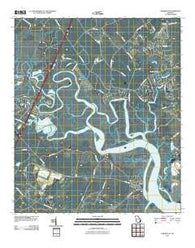 Limerick SE Georgia Historical topographic map, 1:24000 scale, 7.5 X 7.5 Minute, Year 2011