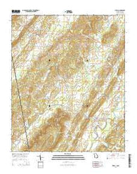 Lyerly Georgia Current topographic map, 1:24000 scale, 7.5 X 7.5 Minute, Year 2014