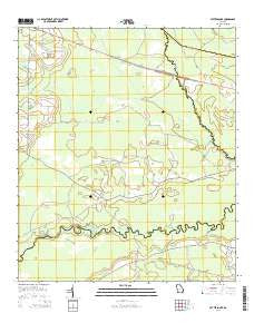 Patterson SE Georgia Current topographic map, 1:24000 scale, 7.5 X 7.5 Minute, Year 2014