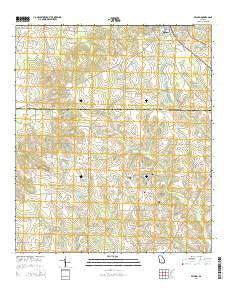 Pelham Georgia Current topographic map, 1:24000 scale, 7.5 X 7.5 Minute, Year 2014