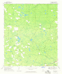 Pine Valley Georgia Historical topographic map, 1:24000 scale, 7.5 X 7.5 Minute, Year 1967